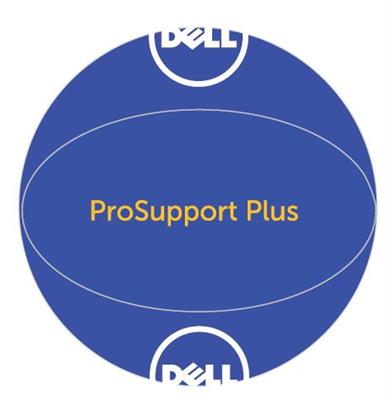 Blue ProSupport Plus Dell Beach Ball