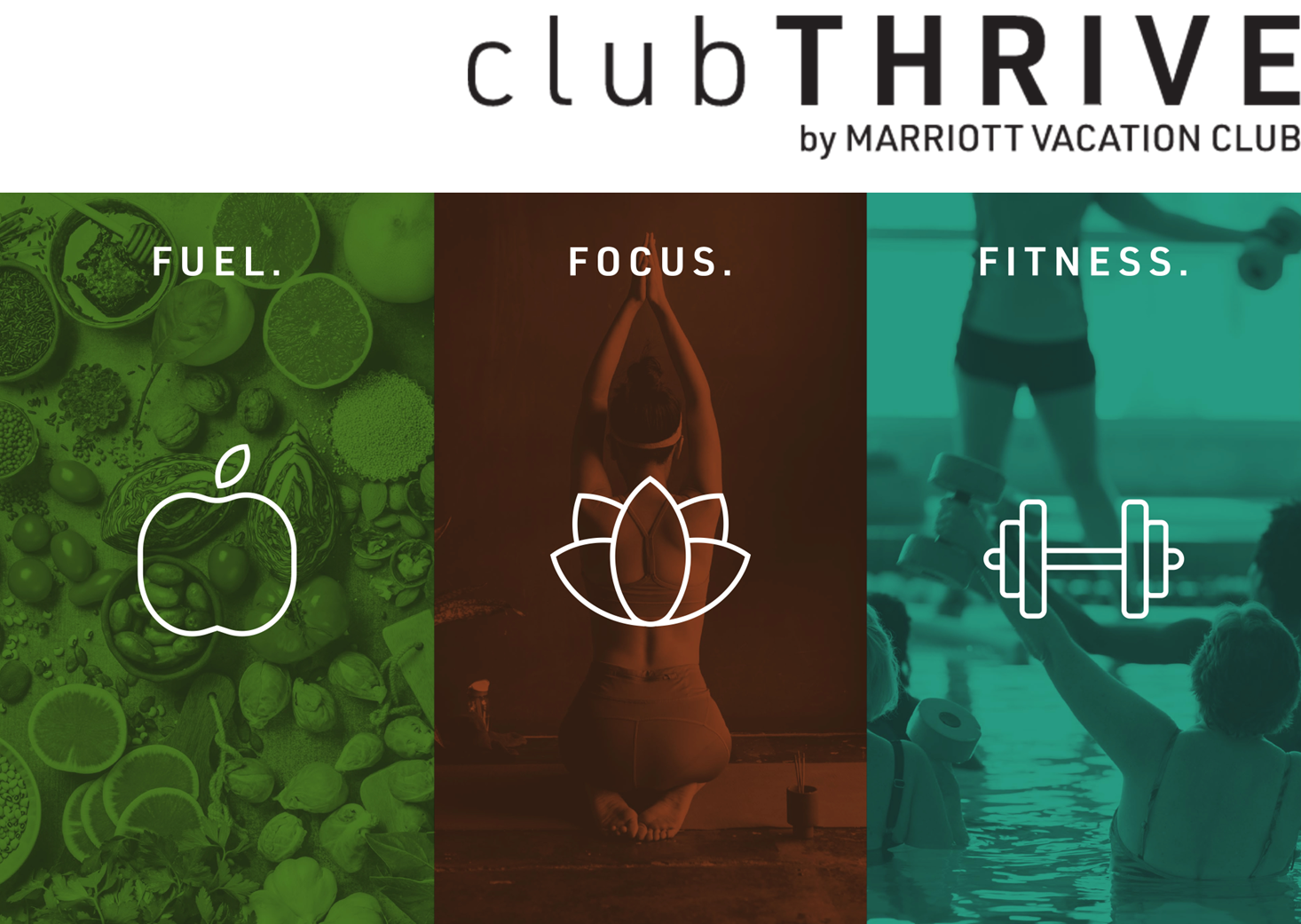 clubTHRIVE Retail Collection 